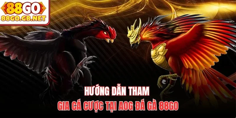 Hướng dẫn tham gia cá cược tại AOG Đá Gà 88Go
