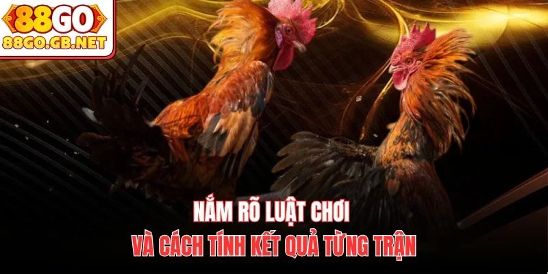 Nắm rõ luật chơi và cách tính kết quả từng trận